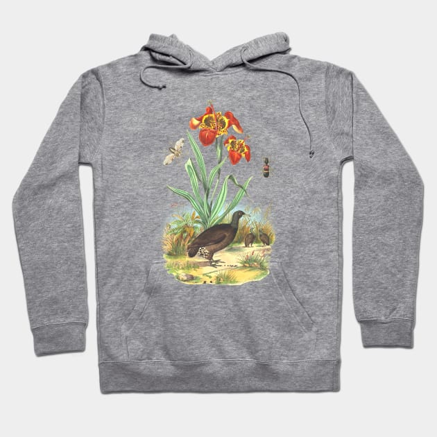 Wildlife Tropical Illustration Hoodie by Biophilia